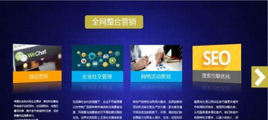 完善的全网络服务,专注电商行业十五年 保定网站建设推广 保定列表网